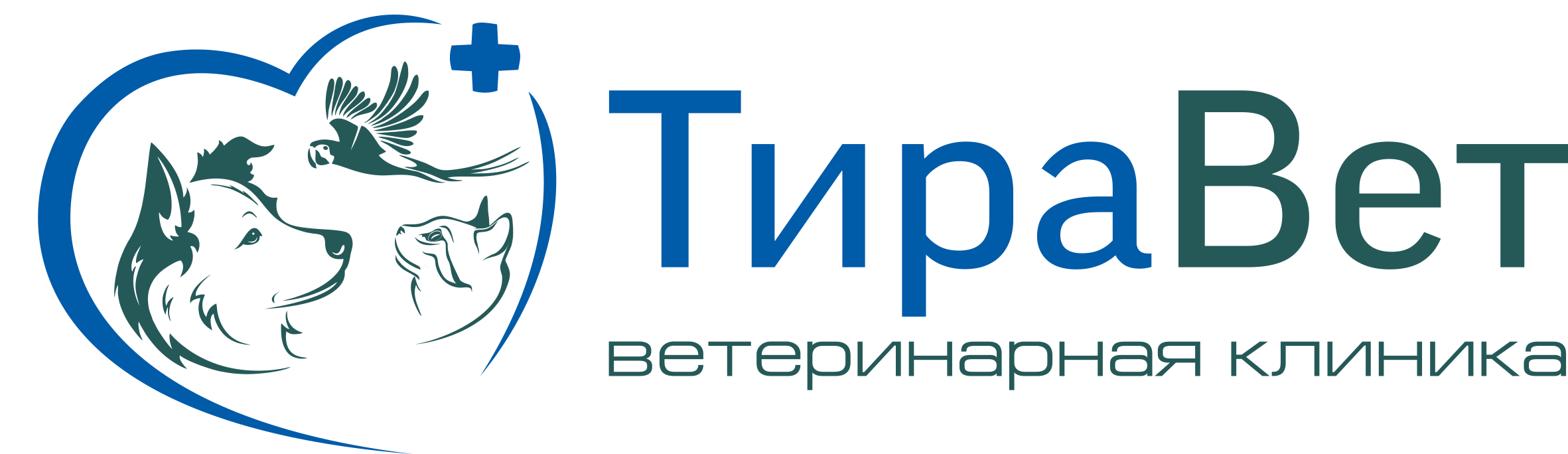 Услуги и цены – ТираВет