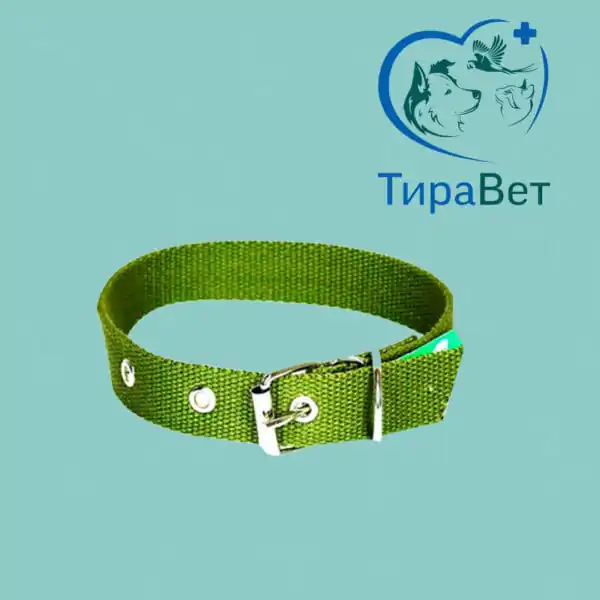 Ошейник брезентовый одинарный 2,5см*45 см