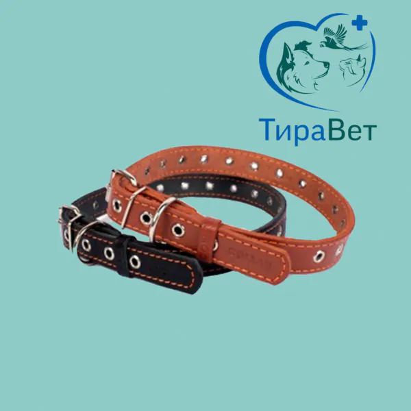 Ошейник COLLAR безразмерный 20мм*50см