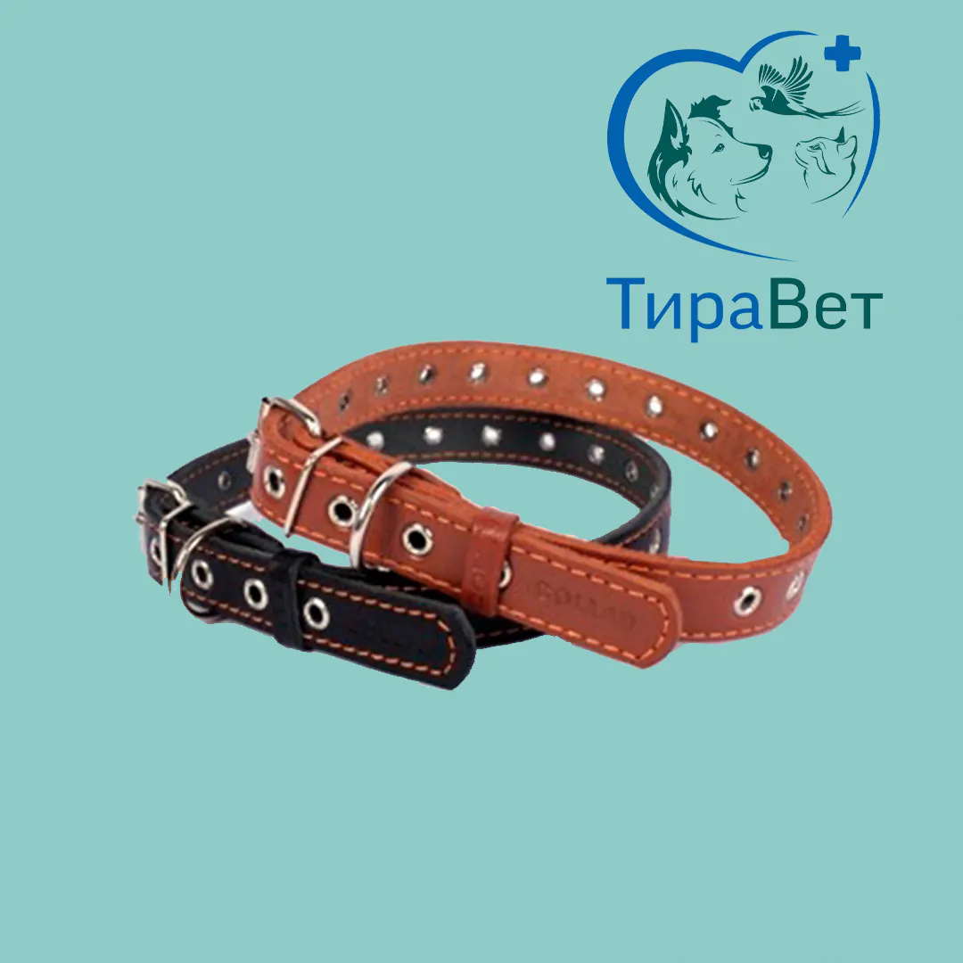 Ошейник COLLAR безразмерный 20мм*50см