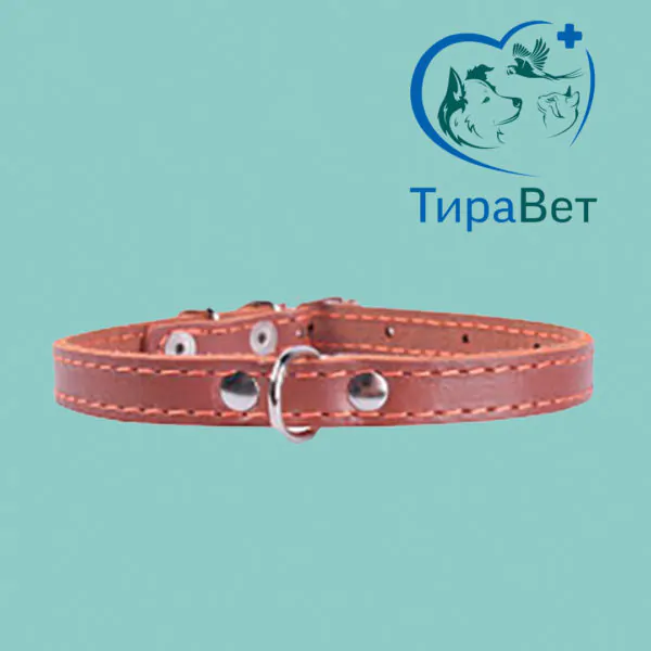 Ошейник COLLAR одинарный 14мм*27-35см