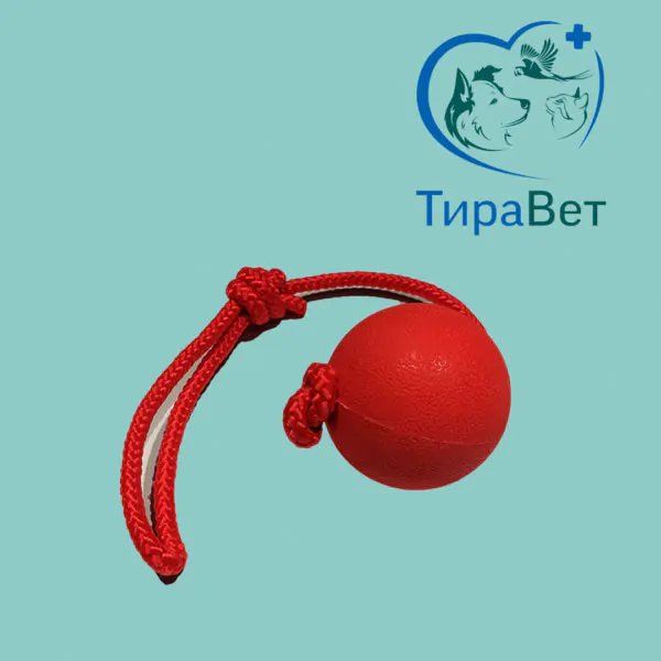 Попрыгунчик на веревке №2